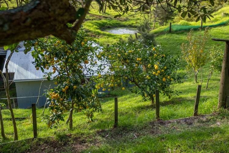 113 Puhata Road Herekino_19