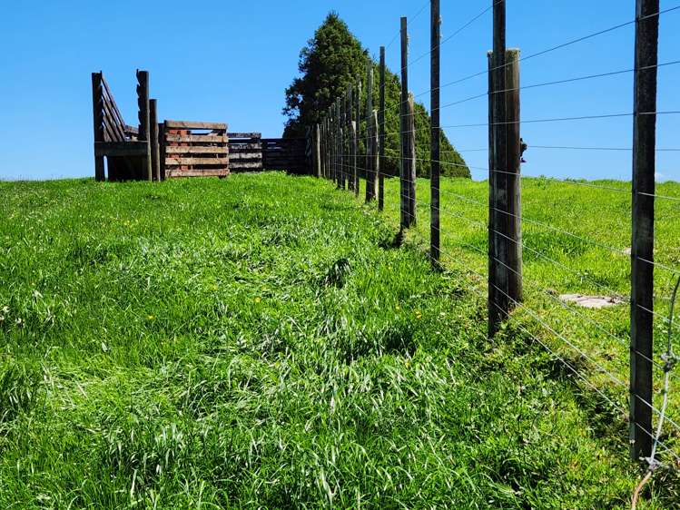 125 Davis Road Inglewood_17