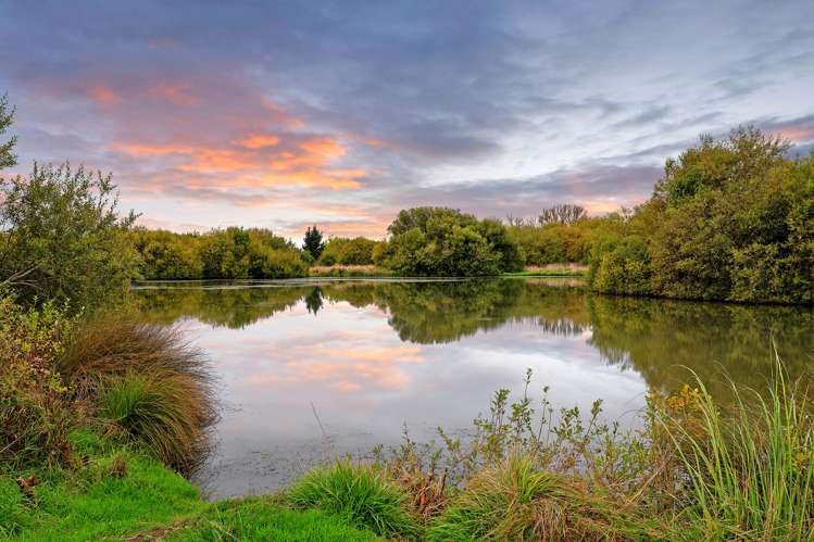 79 Te Hurunui Drive Pegasus_20