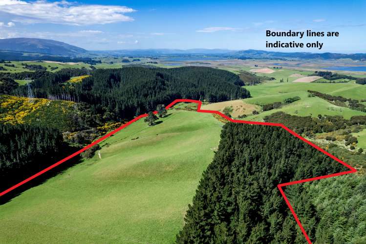 Waihola Hill Road Milton_8