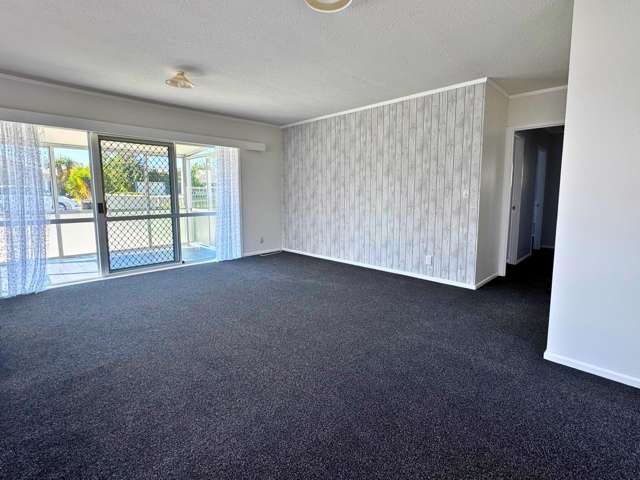 114a George Street Tuakau_1