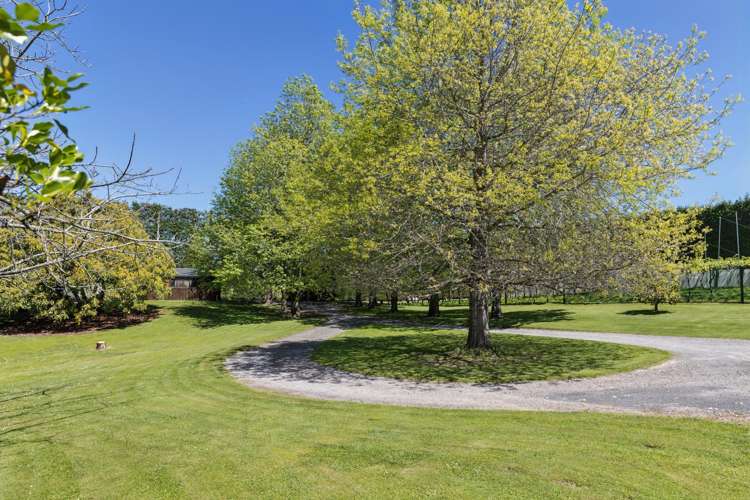 96D Jensen Road Omanawa_19