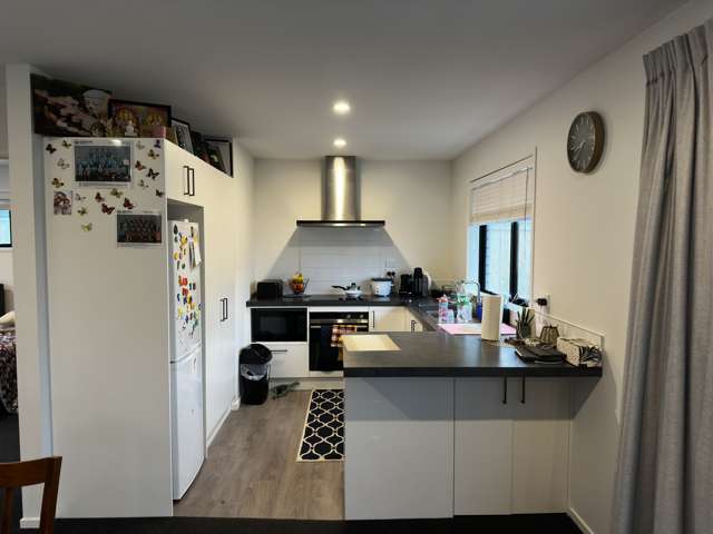 2 Harness Way Rolleston_1