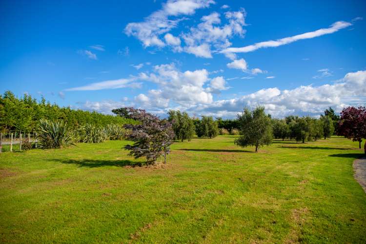 108 Ferry Road Martinborough_16