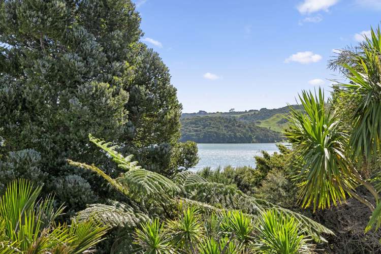 26 Lily Street Raglan_12