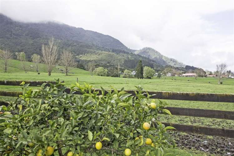 27 Tui Road Te Aroha_13