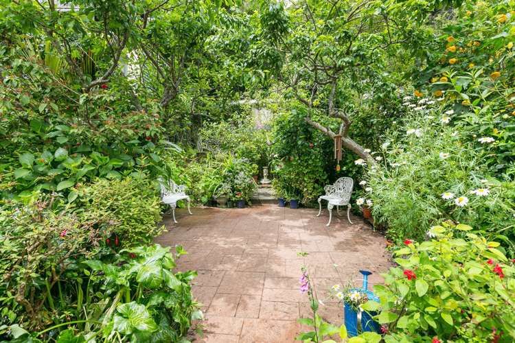 19 Holloway Road Aro Valley_16