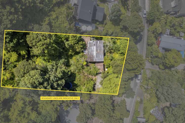 74 Warner Park Avenue Laingholm_1