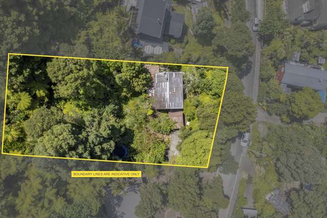 74 Warner Park Avenue Laingholm_1