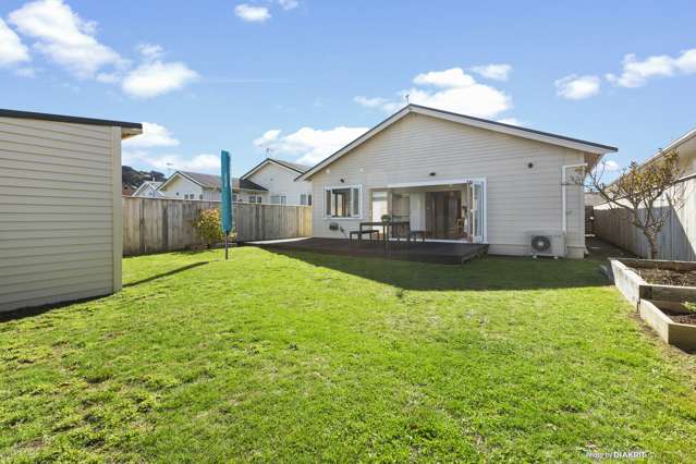 74 Endeavour Street Lyall Bay_4