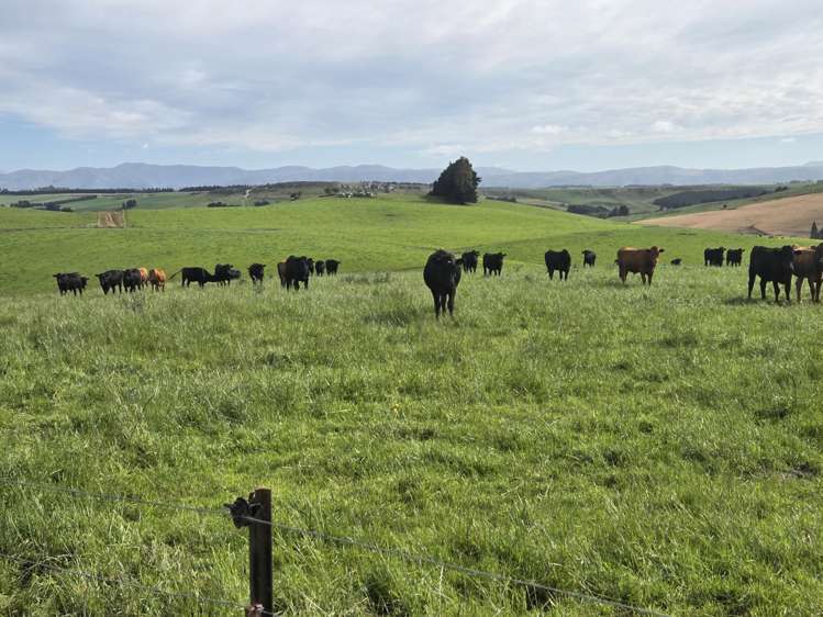 22 Tokarahi-Duntroon Road Tokarahi_16