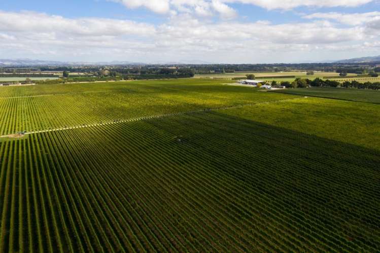 286 Paierau Road, Opaki Masterton_13