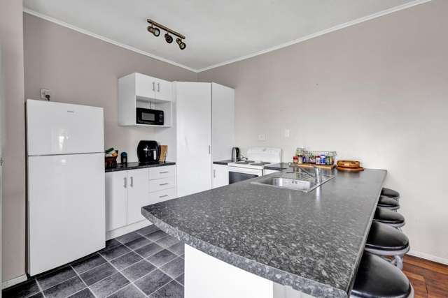 18 Hunter Street Normanby_2