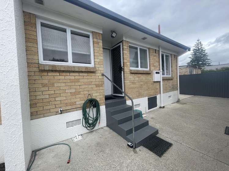 95A Seddon Road 1067_14