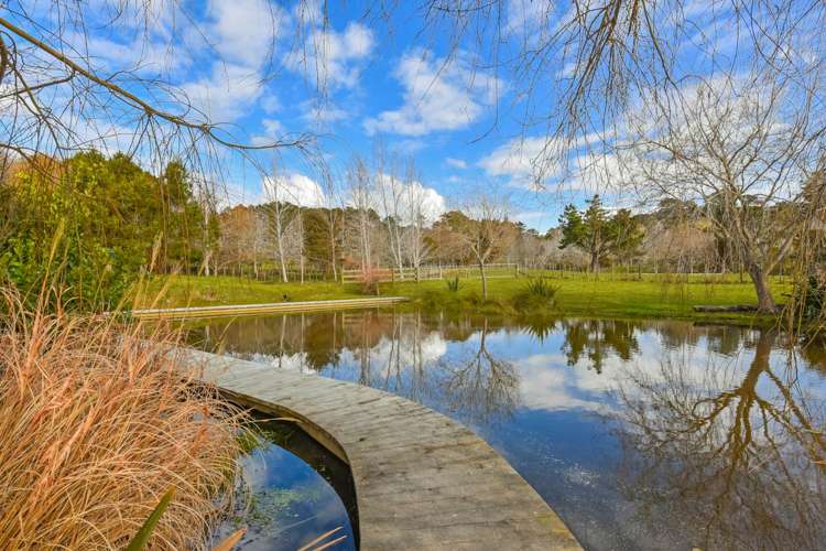 102 Kennedy Road Dairy Flat_7