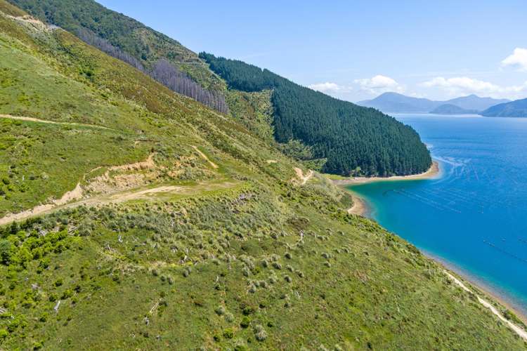 815 Manaroa Road Marlborough Sounds_26