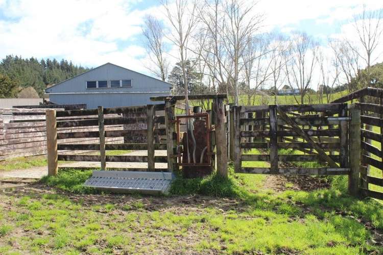 41 View Road Hikurangi_14