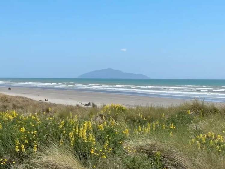 60 Sarah Street Waikawa Beach_28