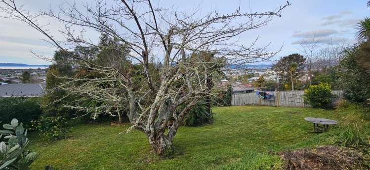 111 Mallard Drive Selwyn Heights_18
