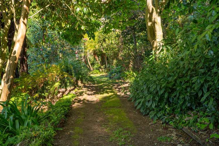 105 Jess Road Whakamarama_29