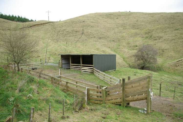 219 Forest Road Oruanui_14