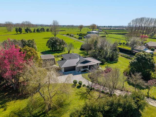 895 Tauwhare Road Tauwhare_1