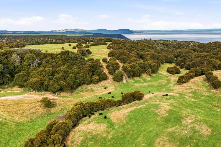 741 Hingarae Road Tihoi_40