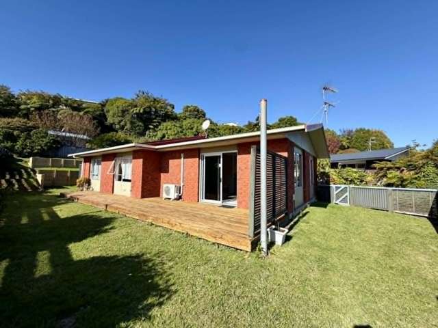 17 Heaphy Street 2169_3