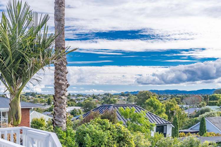 13 Bank Street Mount Eden_12