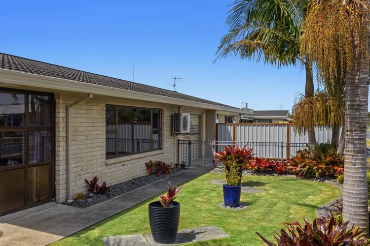 25 Victoria Avenue Whakatane_12