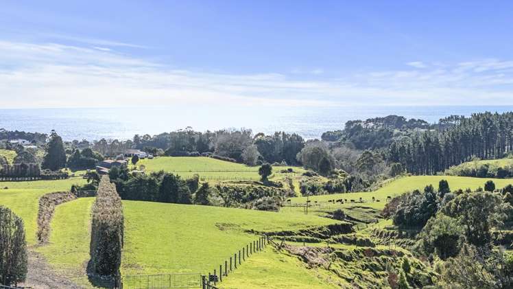 29 Wilson Road Urenui_6