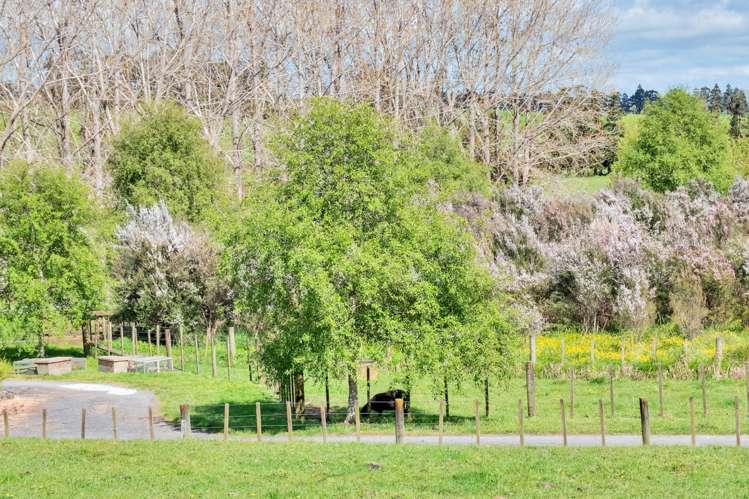 84 Streamlands Swamp Road Kaipara Flats_14