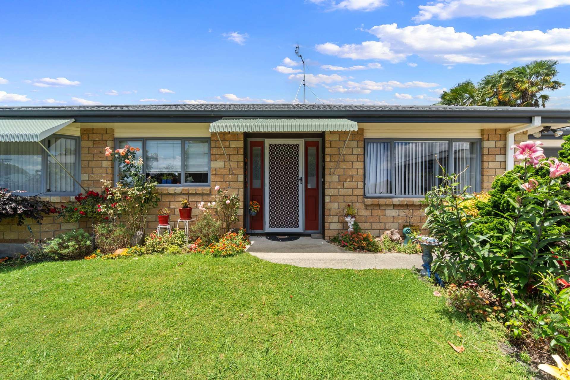 3/241 Mangapiko Street Te Awamutu_0