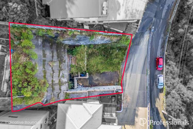 120A Nicholson Road Khandallah_3