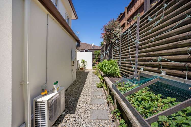 45 Coachman Drive Flat Bush_18