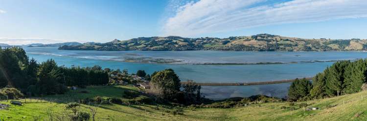 160 Manapouri Street Saint Leonards_6