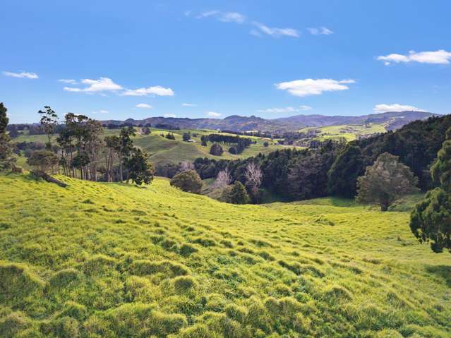 / Lot 13 Gorge Road Maungaturoto_1