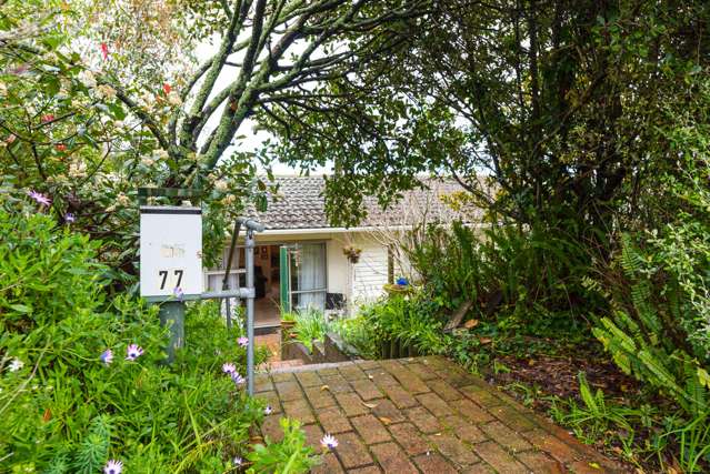 77 Boyce Avenue Mount Roskill_2