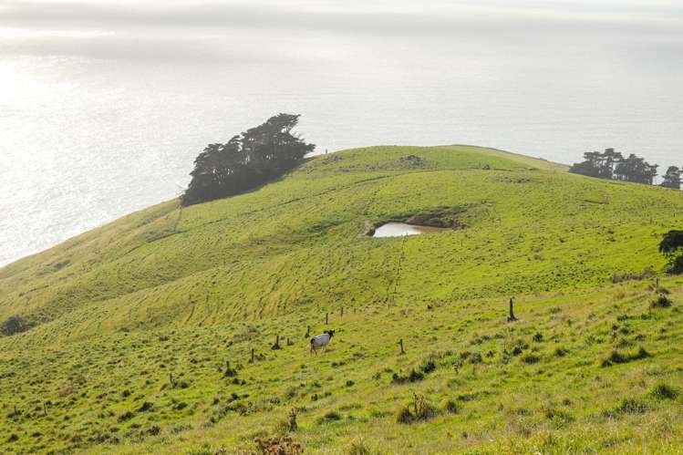 461 Goughs Road Goughs Bay_6