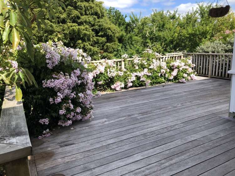 8 Mamaku Street 1723_15