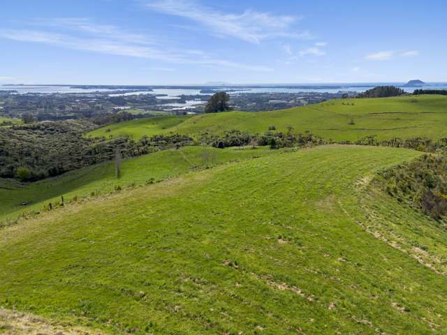 596A Minden Road Te Puna_3