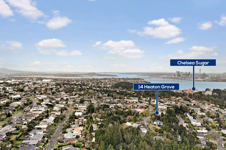 14 Heaton Grove Chatswood_34