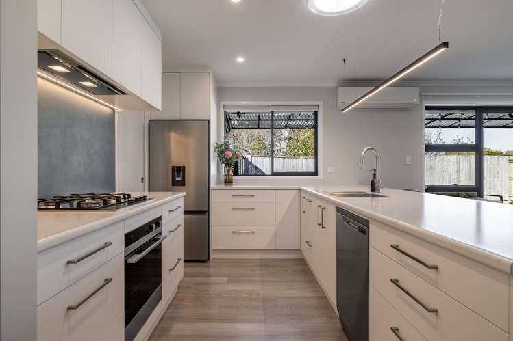 33 Monarch Drive Ashhurst_11