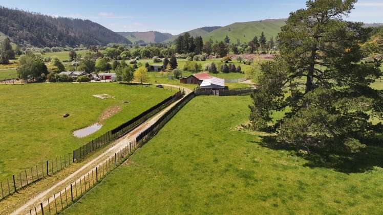 162 Upper Stanley Brook Stanley Brook_18