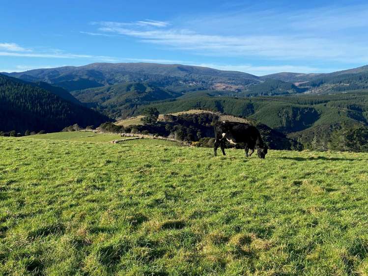 121 Silverstream Valley Road North Taieri_15