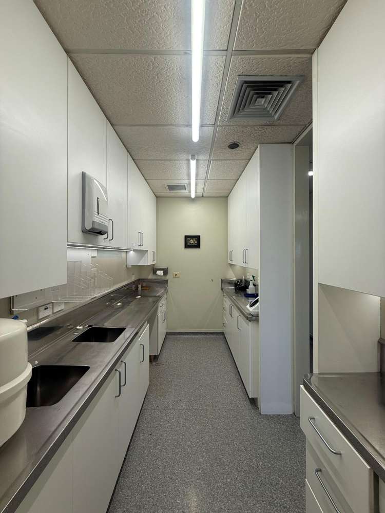 3 Ely Avenue Remuera_13