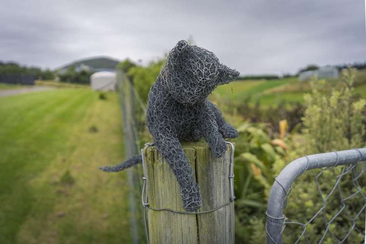 212 McMaster Road Saddle Hill_31