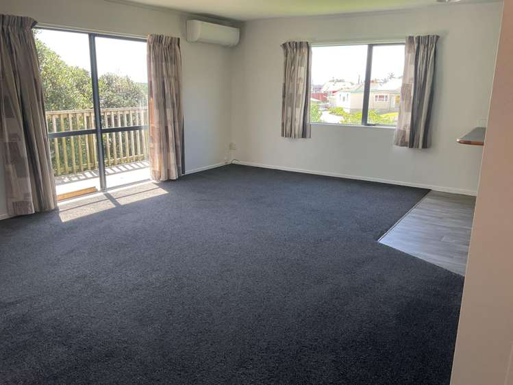 255 Rodney Street Wellsford_13