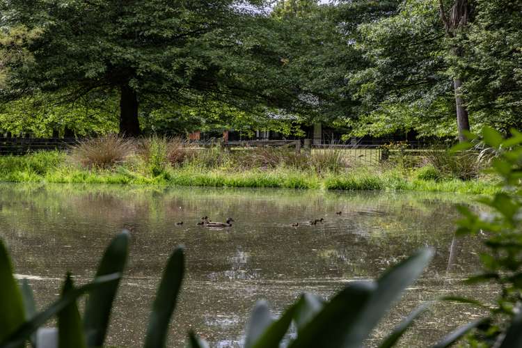 63 Keetly Place Ohoka_27