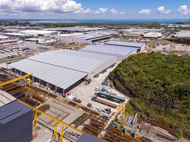 3 Matukutururu Road Wiri_4